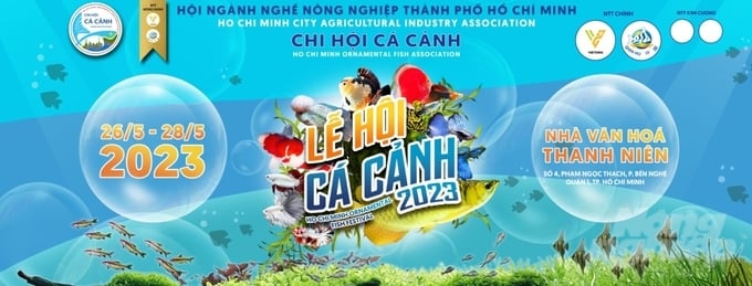 Lễ hội cá cảnh TP.HCM 2023 sẽ được tổ chức quy mô lớn tại Nhà văn hóa Thanh niên, với sự tham gia của các chuyên gia nước ngoài.