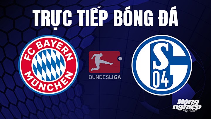 Trực tiếp bóng đá Bundesliga (VĐQG Đức) 2022/23 giữa Bayern Munich vs Schalke 04 hôm nay 13/5/2023