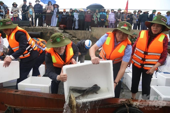 Ông Trần Anh Dũng (Phó Chủ tịch UBND tỉnh Nam Định) và ông Trần Đình Luân, Tổng cục trưởng Tổng cục Thủy sản (Bộ NN-PTNT) thả cá giống tại VQG Xuân Thuỷ vào ngày 1/4/2023. Ảnh: Huy Bình.