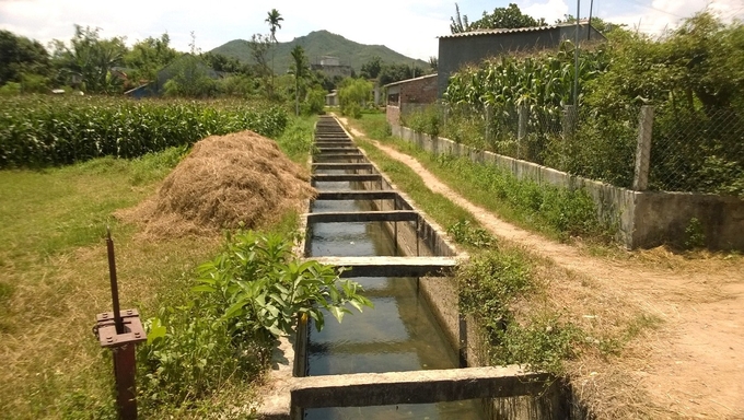 Hệ thống kênh mương ở Bình Định 'dẫn mùa vàng' đến với bà con nông dân. Ảnh: V.Đ.T.