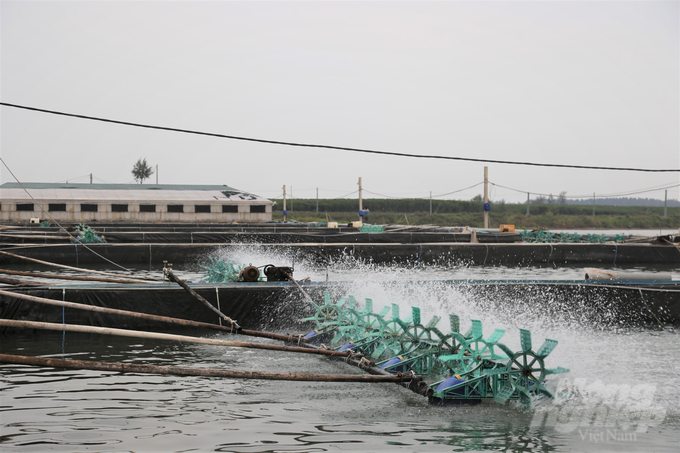 Ưu tiên số 1 của Nam Định là bố trí không gian biển cho phát triển ngành thủy sản. Ảnh: Huy Bình.