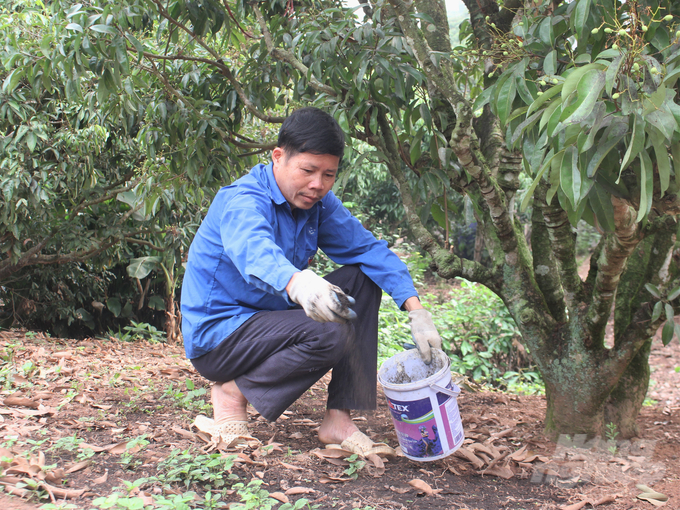 Huyện Lục Ngạn triển khai nhiều giải pháp nhằm quản lý chặt chẽ các mã số vùng trồng. Ảnh: Hoàng Anh.