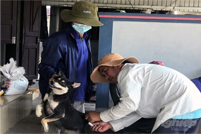 Quang Tri province only achieved a 65% coverage rate for rabies vaccination. Photo: Cong Dien.