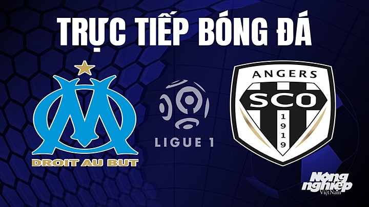 Trực tiếp bóng đá Ligue 1 (VĐQG Pháp) 2022/23 giữa Marseille vs Angers SCO hôm nay 15/5/2023