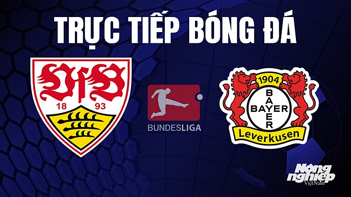 Trực tiếp bóng đá Bundesliga (VĐQG Đức) 2022/23 giữa Stuttgart vs Bayer Leverkusen hôm nay 14/5/2023