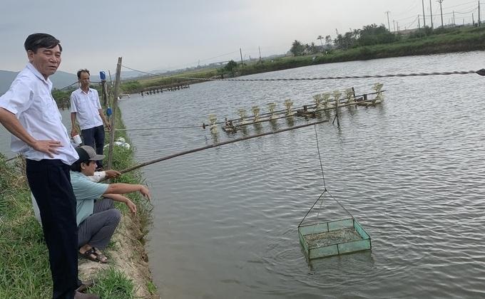 Phu Yen province's Animal Health staffs monitoring disease outbreaks in brackish water shrimp farming areas. Photo: Kim So.