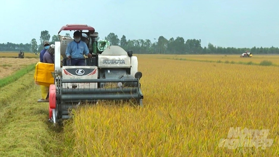 Sóc Trăng đã đề xuất tham gia Đề án Phát triển bền vững 1 triệu ha chuyên canh lúa chất lượng cao gắn với tăng trưởng xanh vùng ĐBSCL với diện tích 77.000ha đến năm 2030. Ảnh: Kim Anh.