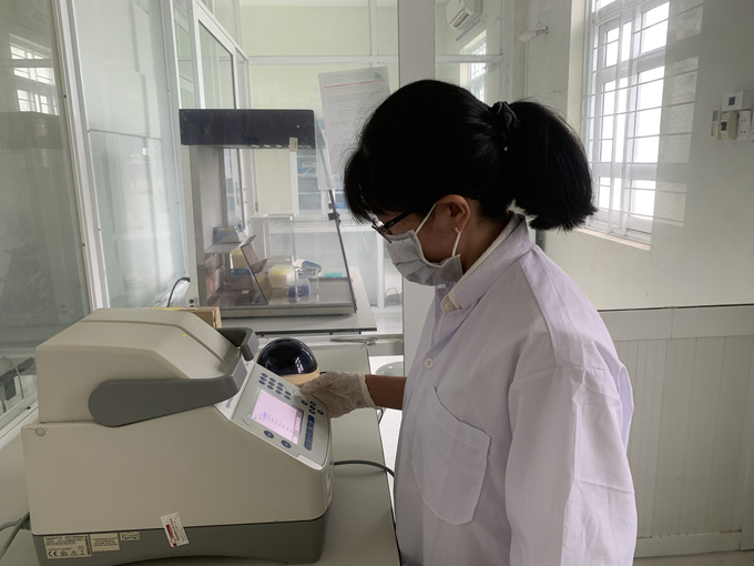 Phu Yen Animal Health staffs collecting samples of farmed shrimp for disease testing. Photo: KS.