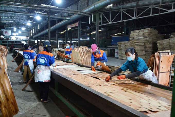 Sản xuất gỗ ép tại Nhà máy sản xuất ván MDF đóng tại huyện Bảo Yên (Lào Cai). Ảnh: Hải Đăng.