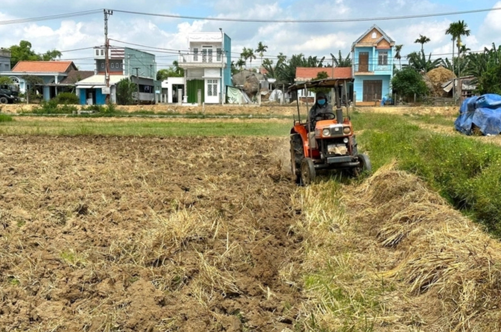 Chuẩn bị bước vào vụ hè thu nhưng nhiều địa phương trên địa bàn tỉnh Quảng Nam có nguy cơ thiếu nước tưới. Ảnh: Lê Khánh.