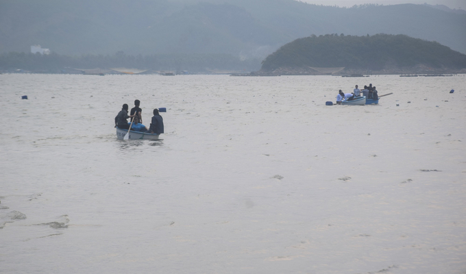 Binh Dinh Fishing Industry Delegation Visited Okinawa Co., Ltd. Commercial Seaweed Cultivation Sea Area  in the town of Song Cau (Phu Yen).  Photo: VDT