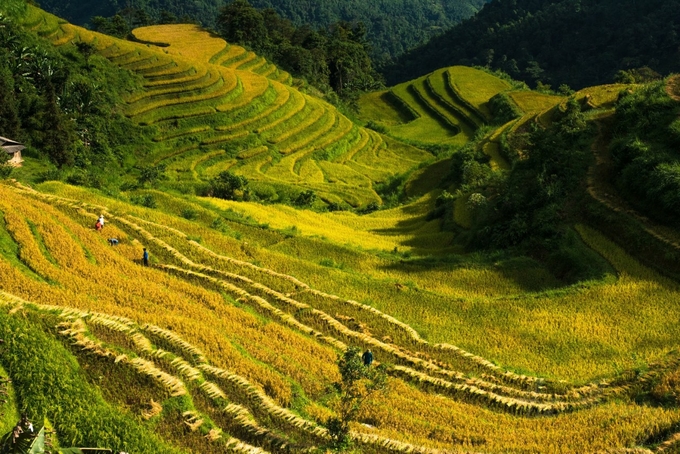 'Ha Giang, the border is here. Roads in the clouds, all the way to the gate of heaven'.