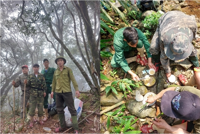 Cán bộ Vườn Quốc gia Vũ Quang đi tuần tra trong rừng. Ngoài nhiệm vụ đảm bảo không để xảy ra vi phạm lâm luật, họ còn đặt nhiều bẫy ảnh để theo dõi, phát hiện các loài thú quý hiếm. Ảnh: Hoàng Anh.