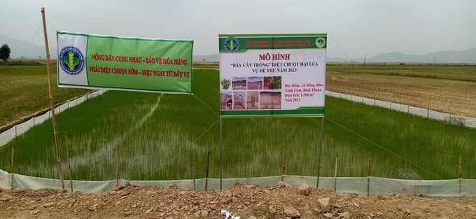 Hiện mô hình đang được Chi cục Trồng trọt và BVTV Bình Thuận nhân rộng để giúp nông dân tiêu diệt chuột hiệu quả. Ảnh: Kim Sơ.