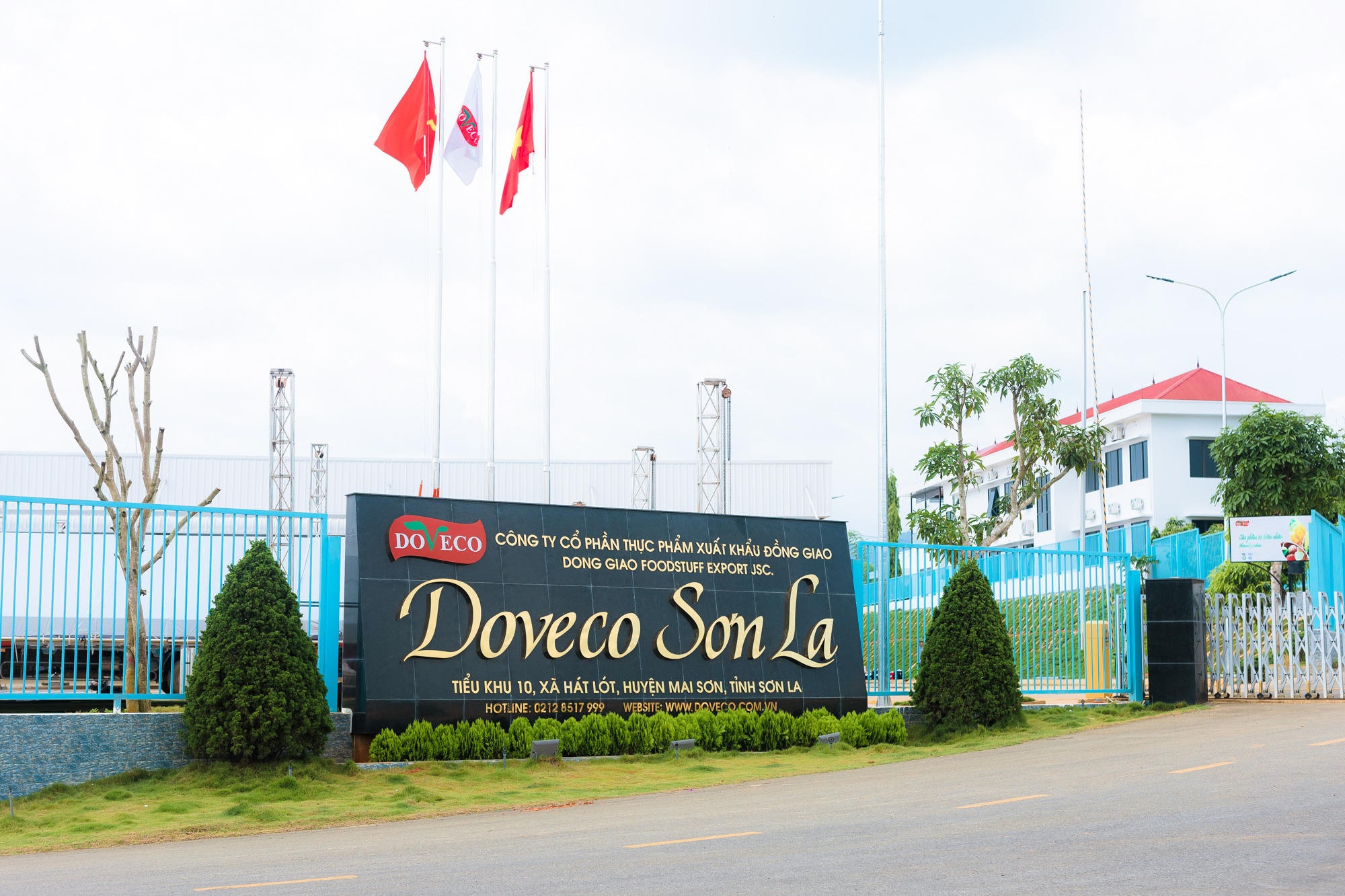 Theo quy mô thiết kế, công suất của Doveco Sơn La đạt 52.000 tấn sản phẩm chế biến/năm. Ảnh: Tùng Đinh.