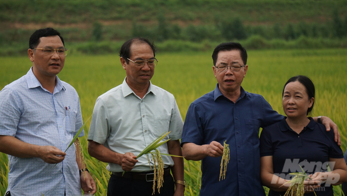 Đại diện Sở NN-PTNT, lãnh đạo huyện Thọ Xuân cùng lãnh đạo Tập đoàn ThaiBinh Seed thăm cánh đồng mẫu lớn tại xã Xuân Minh, huyện Thọ Xuân. Ảnh: Quốc Toản.