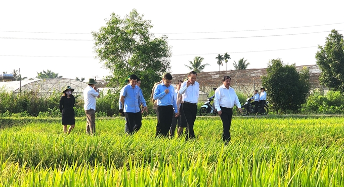 Deputy Minister of Agriculture and Rural Development Phung Duc Tien visited and worked at the Cuu Long Delta Rice Research Institute. Photo: Kim Anh.