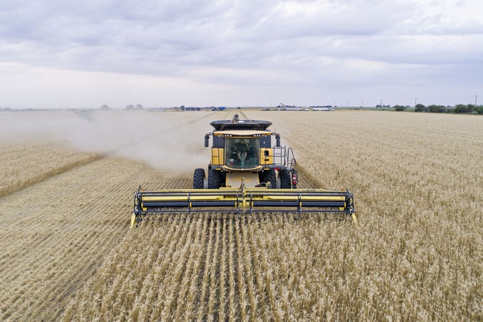 Thu hoạch lúa mì ở Plainville, Kansas. Ảnh: Daniel Acker/Bloomberg.