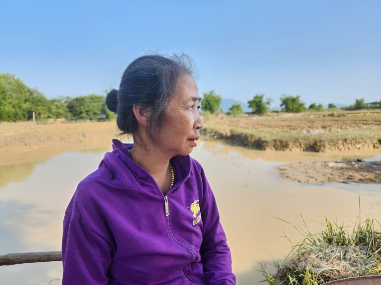 Bà Nguyễn Thị Hồng, thôn Đông Thành, xã Hợp Lý có 4 sào ruộng bị ngập nước do mưa lớn. Ảnh: Quốc Toản.