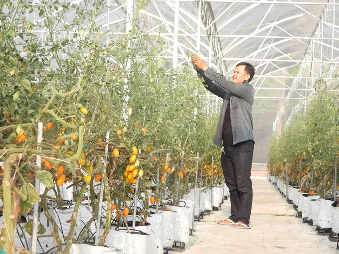 Từ Đề án chuyển dịch cơ lại nông nghiệp, Tây Ninh xuất hiện ngày càng nhiều mô hình nông nghiệp mới, hiệu quả cao, bền vững. Ảnh: Trần Trung.