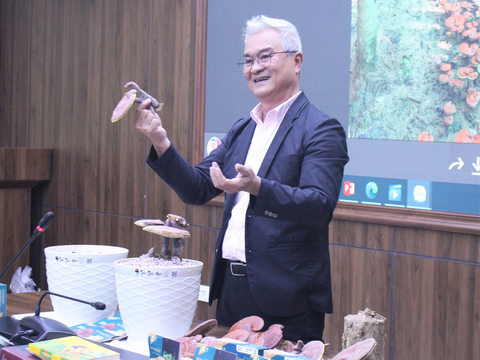 Dr. Le Hoang The, Director of The Vos Company talking about his company's model for afforestation that complies with international standards and a model for growing red lingzhi mushrooms under the hybrid acacia canopy. Photo: Trung Quan.