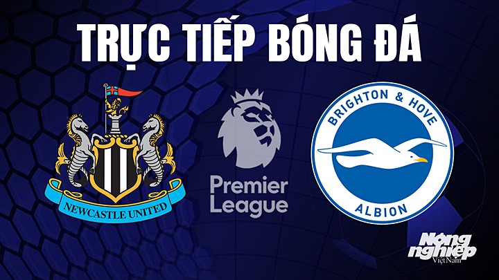 Trực tiếp bóng đá Ngoại hạng Anh giữa Newcastle United vs Brighton hôm nay 19/5/2023