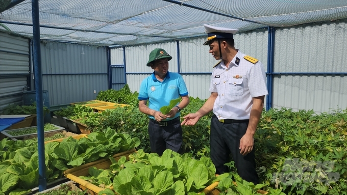 Đánh giá các mô hình trồng rau xanh và cây ăn trái trên các đảo thuộc quần đảo Trường Sa. Ảnh: Minh Sáng. 