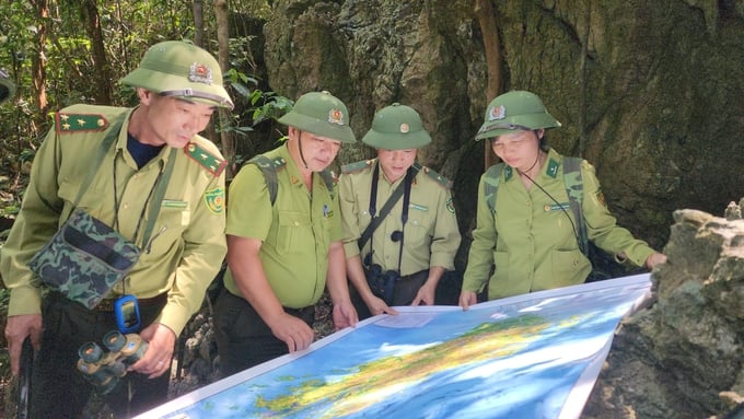 Lực lượng kiểm lâm Hải Phòng tuần tra bảo vệ rừng tại Vườn Quốc gia Cát Bà. Ảnh: Đinh Mười.