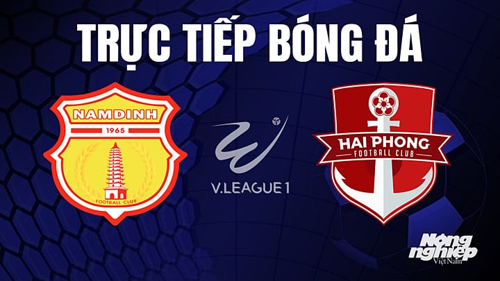 Trực tiếp bóng đá V-League 2023 giữa Nam Định vs Hải Phòng hôm nay 20/5/2023