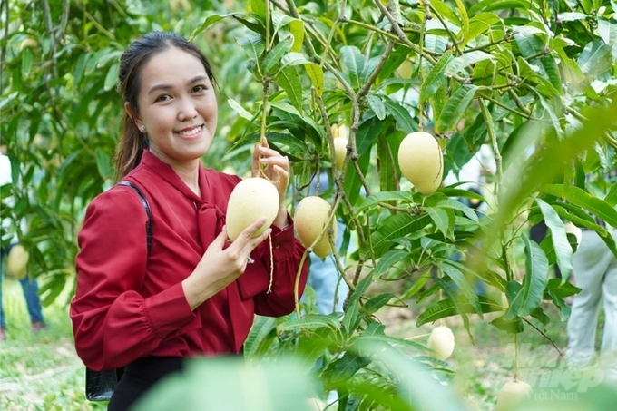 Dong Thap Mango Festival 2023 attracted about 50,000 visitors. Photo: Ho Thao.