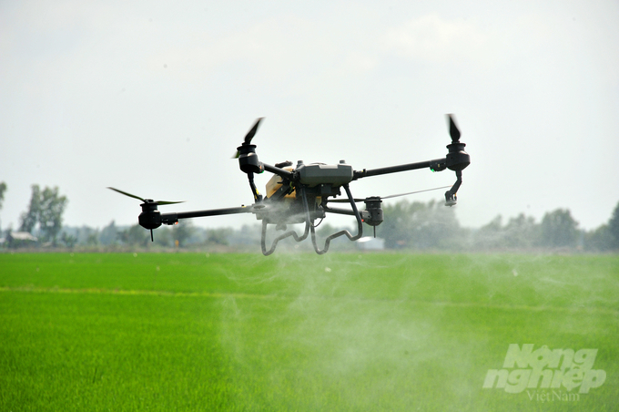 Nhiều năm nay, nông dân ĐBSCL đã ứng dụng Drone để phun thuốc BVTV, bón phân và sạ lúa. Ảnh: Lê Hoàng Vũ.