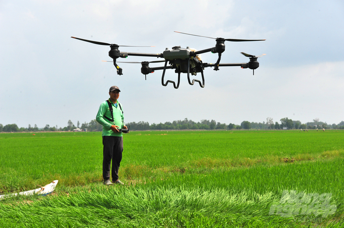 Việc ứng dụng Drone vào canh tác lúa là bước chuyển đổi quan trọng và tạo thêm dịch vụ mới nâng cao thu nhập cho nhiều hộ dân ở ĐBSCL. Ảnh: Hồ Thảo.