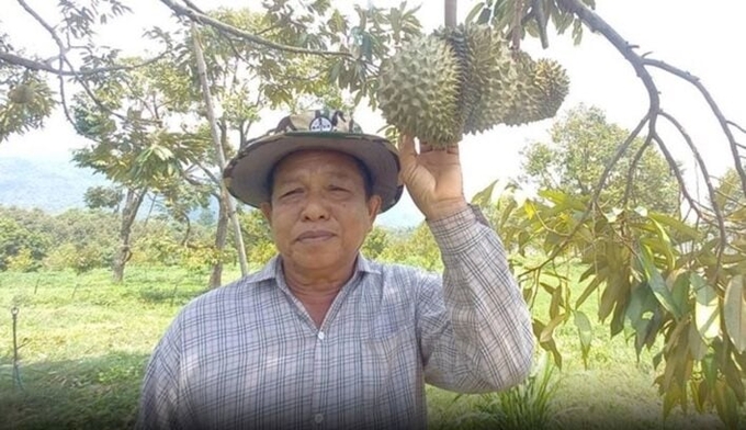 Durian farmer. Photo: Matichon.