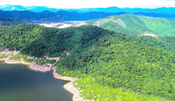 Với hơn 217 nghìn ha rừng tự nhiên, ước tính mỗi năm Hà Tĩnh có thể bán ra gần 2 triệu tín chỉ các bon cho các tổ chức quốc tế. Ảnh: Thanh Nga.