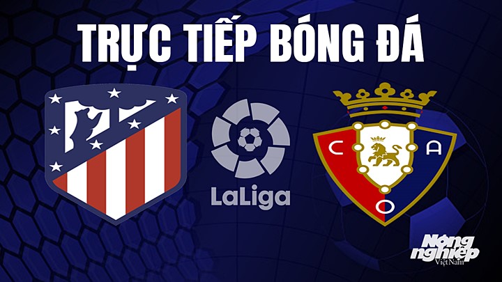 Trực tiếp bóng đá La Liga 2022/23 giữa Atletico Madrid vs Osasuna hôm nay 21/5/2023