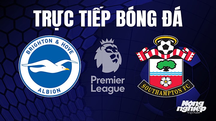 Trực tiếp bóng đá Ngoại hạng Anh giữa Brighton vs Southampton hôm nay 21/5/2023
