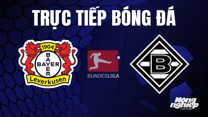 Trực tiếp bóng đá Bundesliga (VĐQG Đức) 2022/23 giữa Leverkusen vs Gladbach hôm nay 22/5/2023