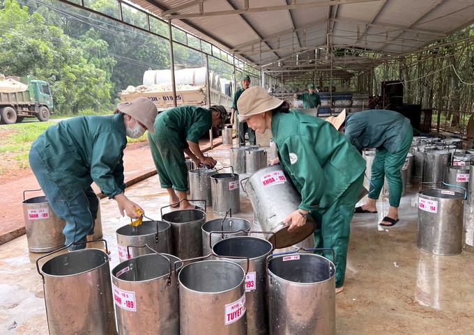 Workers at Quan Loi Farm wash tools after importing rubber latex. Photo: Thanh Son.
