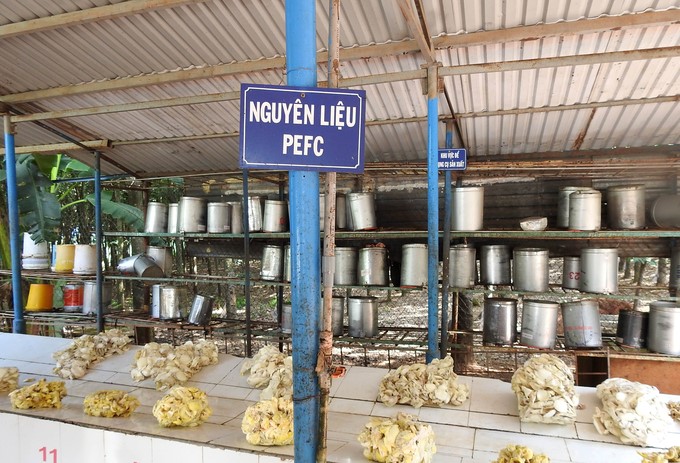A tidy and clean latex import station at Phu Rieng Do farm. Photo: Thanh Son.