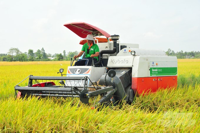 In the 2021–2025 period, the An Giang agricultural sector sets a target of achieving an average growth rate of 2.8%/year, striving for per capita income in rural areas to reach VND 68 million/person/year by 2025. Photo: Ho Thao.