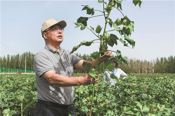 Li Zhaohu, president of Huazhong Agricultural University, believes that connecting with communities helps agricultural talent to identify with the country's agricultural advancement. Photo: China Daily.