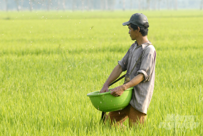 Để sản xuất thắng lợi vụ hè thu, các địa phương và nông dân cần tiếp tục quan tâm theo dõi sát đồng ruộng, diễn biến của thời tiết và sâu bệnh nhằm chủ động chăm sóc, bảo vệ lúa. Ảnh: Lê Hoàng Vũ.