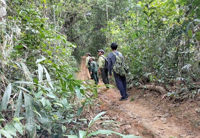 Lực lượng bảo vệ rừng chuyên trách tại Bình Thuận ngày càng nghỉ việc nhiều do lương thấp, áp lực trách nhiệm. Ảnh: Kim Sơ.
