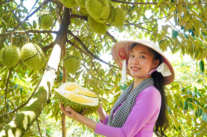 Huyện Phong Điền sáng tạo, khai thác hiệu quả tiềm năng lợi thế, xây dựng huyện NTM nâng cao theo hướng đô thị sinh thái trong năm 2023. Ảnh: Kim Anh.