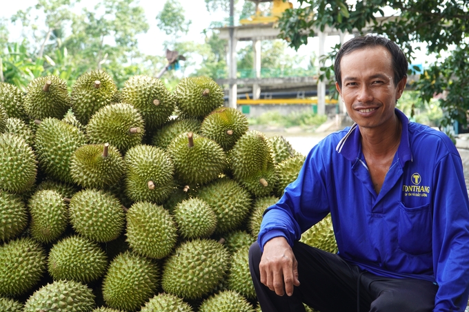 Huyện Phong Điền xác định, triển khai hiệu quả Đề án tái cơ cấu ngành nông nghiệp, xây dựng các mô hình chuyên canh ứng dụng khoa học công nghệ nâng cao chất lượng nông sản, là cần thiết trong xây dựng NTM. Ảnh: Kim Anh.