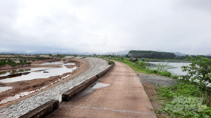 Tuyến đê bao quanh xã đảo Đồng Rui trở thành lá chắn giúp người dân yên tâm canh tác nông nghiệp. Ảnh: Nguyễn Thành.