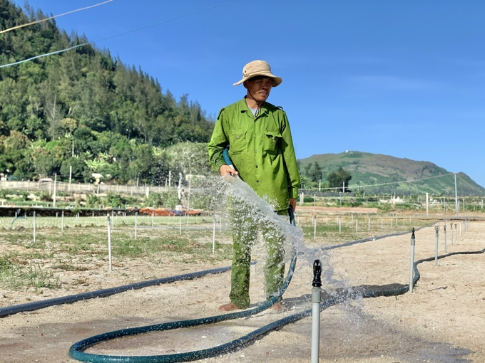 Nhu cầu nước tưới và sinh hoạt của người dân trên đảo Lý Sơn (Quảng Ngãi) hiện nay đã vượt ngưỡng khai thác khoảng 6.000m3/ngày. Ảnh: Lê Khánh.