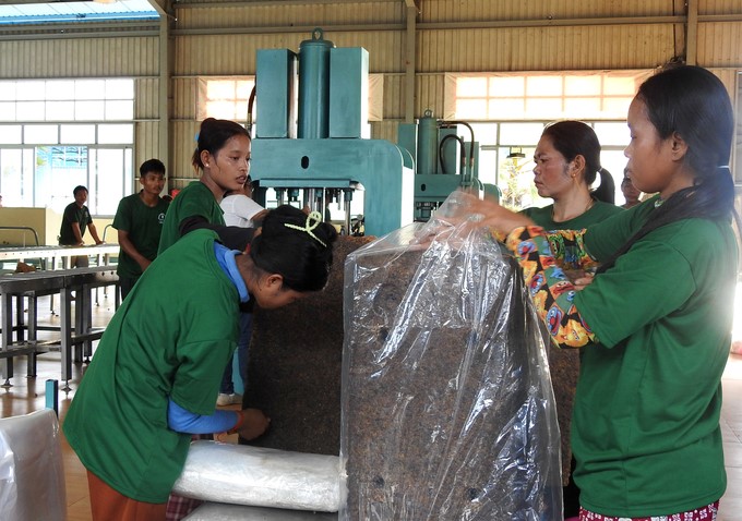Chu Se-Kampong Thom Rubber Company has worked with local authorities to create conditions for many Cambodian workers to have stable jobs. Photo: Thanh Son.