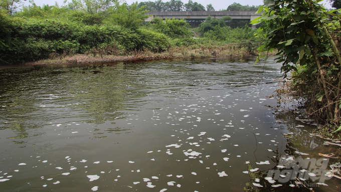 Nước sông Đu nổi bọt khí, nồng nặc mùi hoá chất khiến hàng trăm hộ dân sinh sống dọc 2 bờ sông Đu lo lắng. Ảnh: Toán Nguyễn.