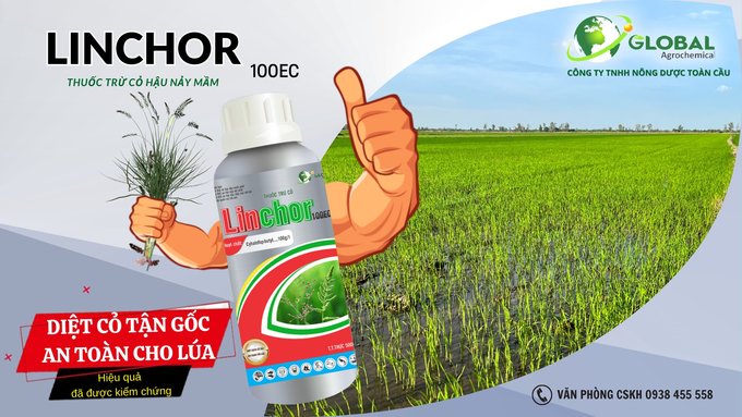 Sản phẩm thuốc cỏ hậu nảy mầm LINCHOR. Ảnh: Bích Ngọc. 